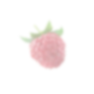 rasberry