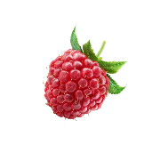 rasberry