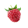 rasberry