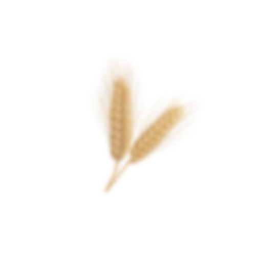 wheat